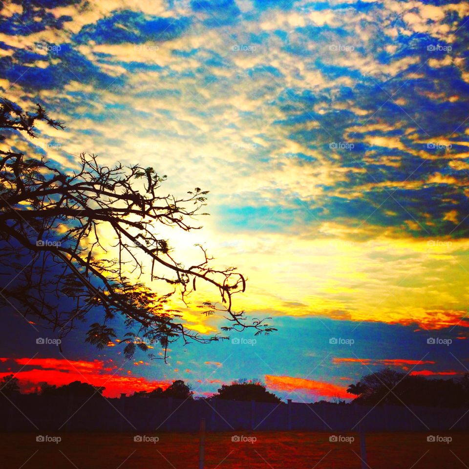 🌅Desperta, #Jundiaí!
Ótima 5a feira a todos. 
🍃
#sol
#sun
#sky
#céu
#photo
#nature
#manhã
#morning
#alvorada
#natureza
#horizonte
#fotografia
#paisagem
#inspiração
#amanhecer
#mobgraphy
#FotografeiEmJundiaí