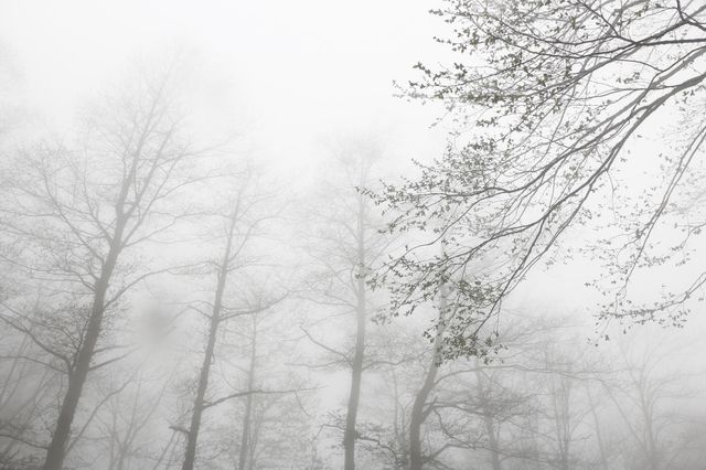 Clouds 