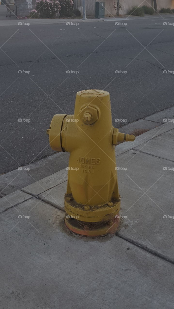 hydrant