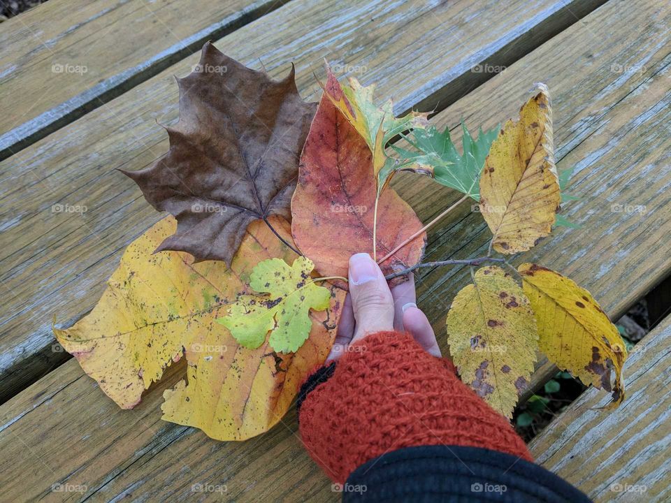DIY crafts for the Fall season