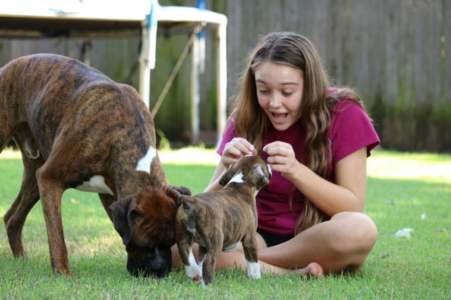 Girl with puppy 