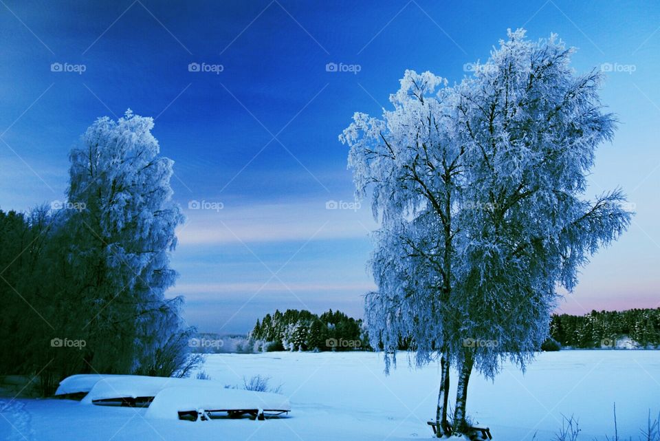 Wonder land winter. winter Wonder land north sweden