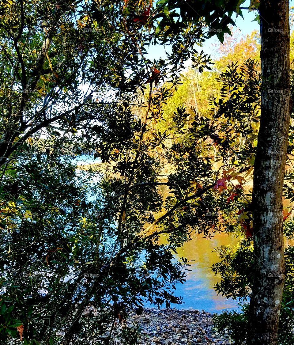 autumn lake view.