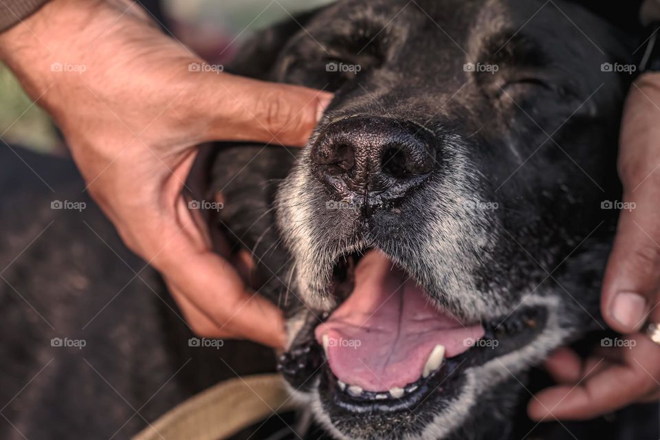 close up portrait