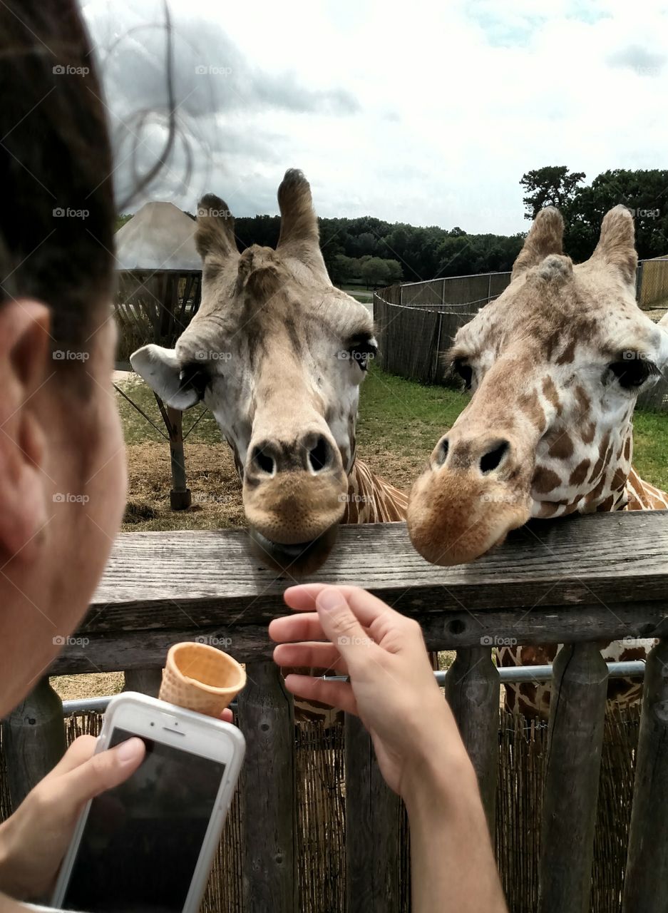 Fleetphoto at feeding time