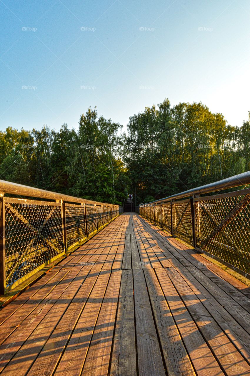 The bridge, not only provides a safe and convenient crossing, but I am also an inexhaustible source of inspiration.