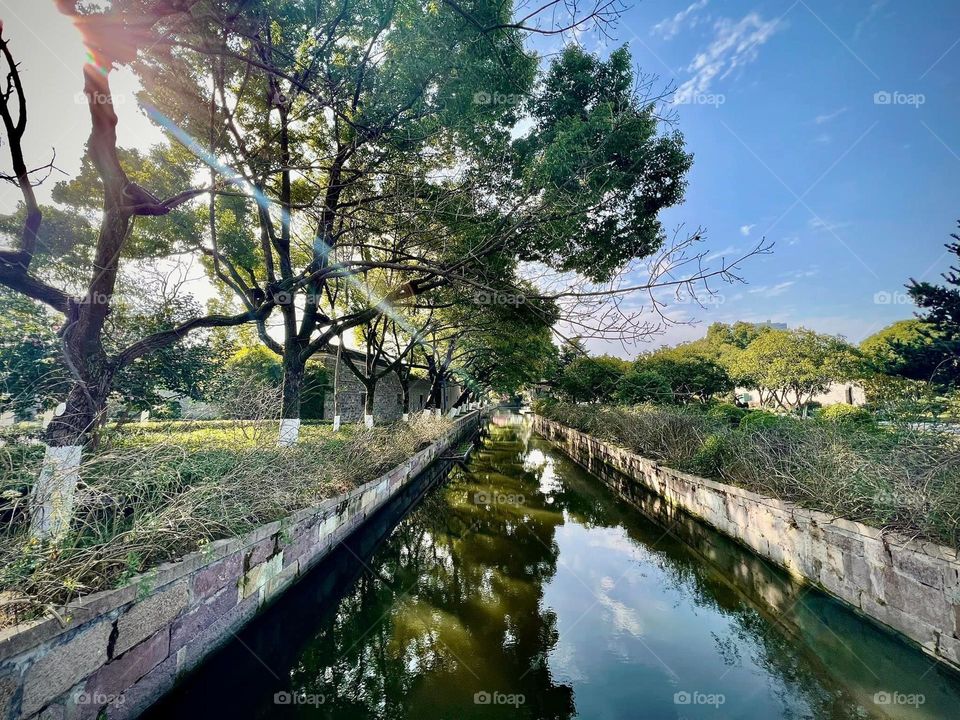 The tranquil river gently flow under sunlight
