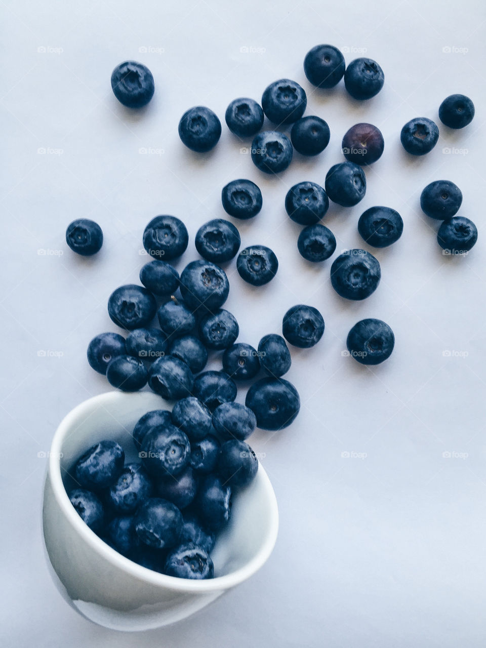 Blueberries against white background