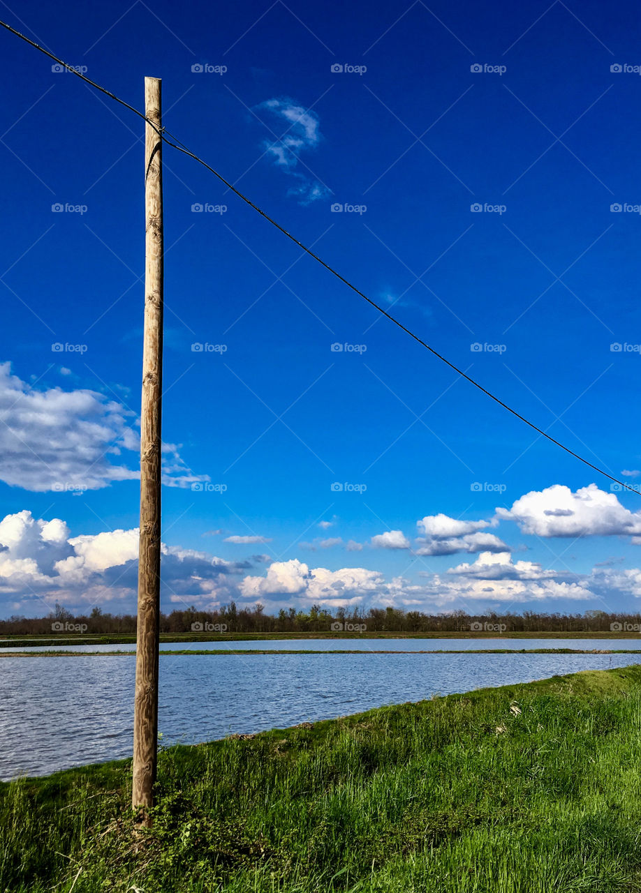 bucolic image of a paddies in spring in the Piedmont countryside
