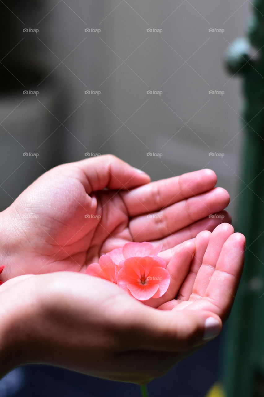 one flowers , one life