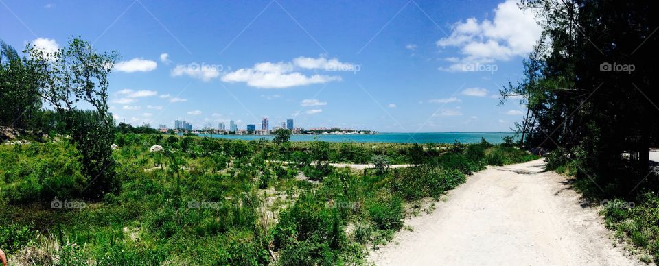 View of Miami's Fisher Island from Virginia Key