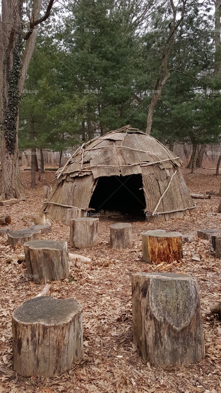 Wood Camp