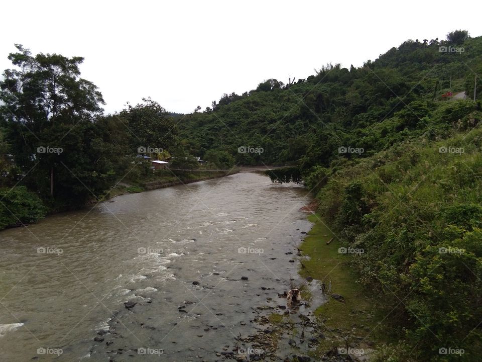 Typical river tropical rainforest in south east asia. location tambunan,sabah north borneo