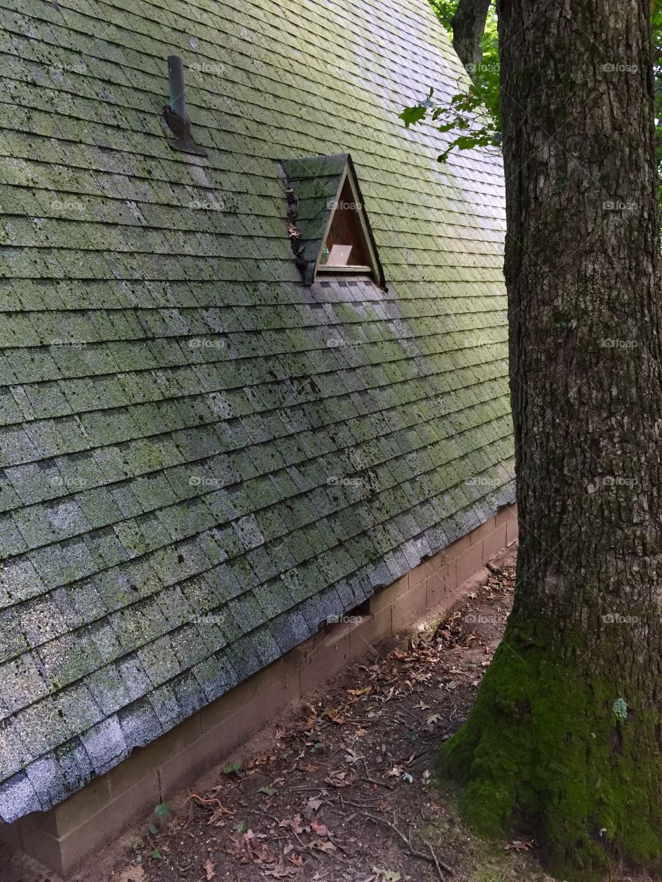 Triangle cabin. Triangle cabin