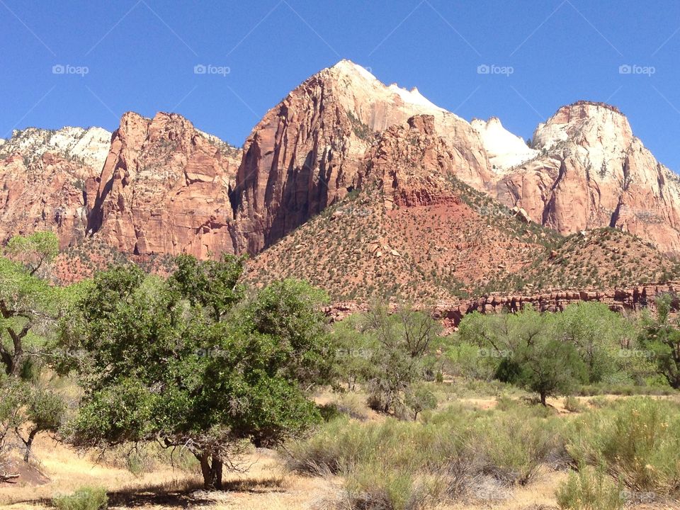 Mountain view in Zion National Park