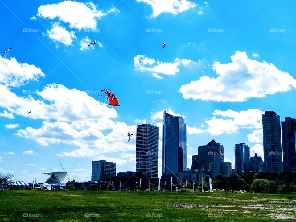 Kite Festival against the Milwaukee Skyline