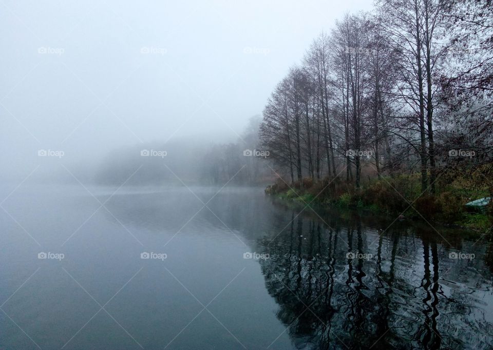 Fog, Mist, Water, Landscape, Lake