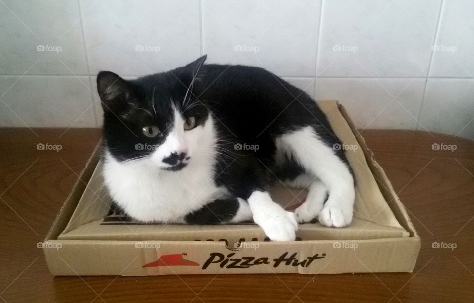Pizza Hut - One Pizza For You, A Box For