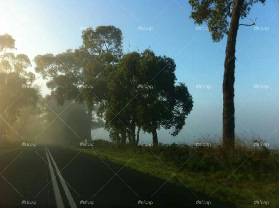 "Just get in. Get in the car and pick a direction. These roads all lead somewhere, but you'll never know where... unless you just get in."