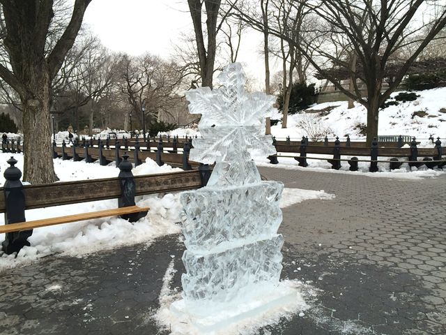 Ice in Central Park