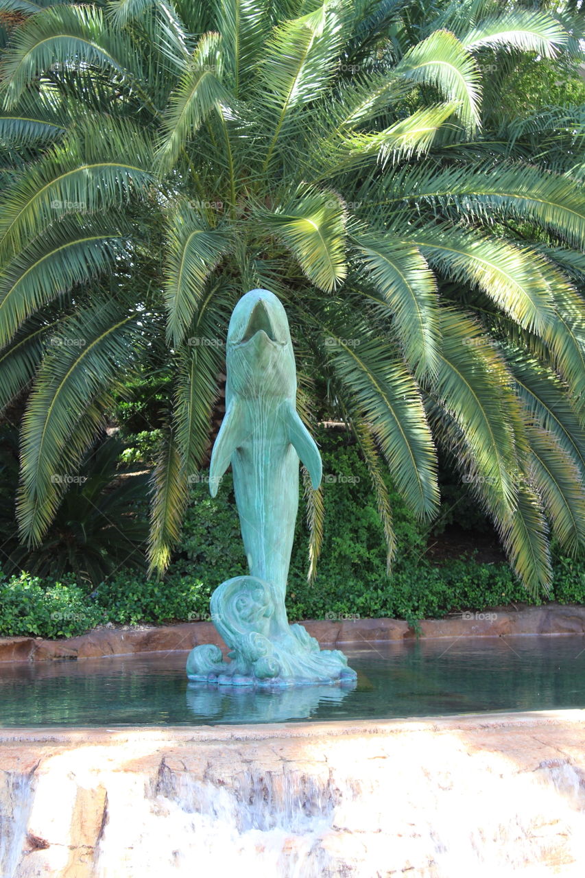 Tropical, Water, No Person, Palm, Travel