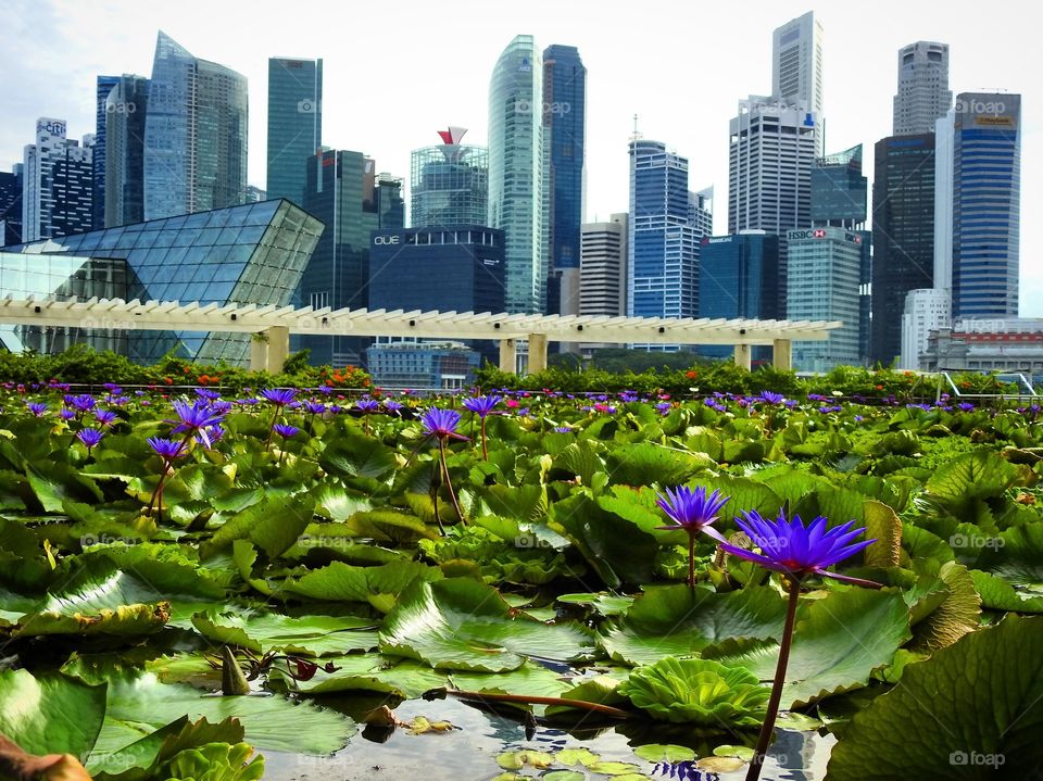 Urban garden Marina Bay Sands in Singapore 