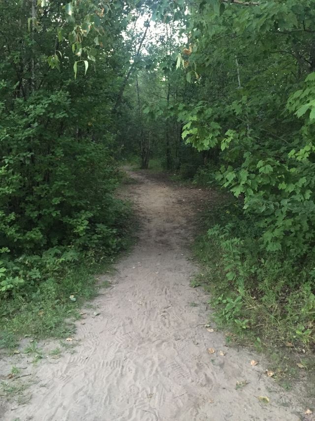 In the woods