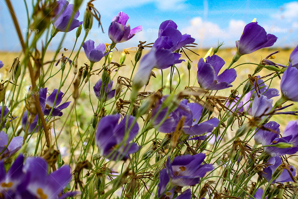 Si la vida fuera morada, todos iríamos demodados?