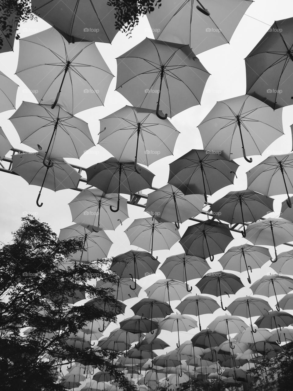 Umbrella Art Installation 