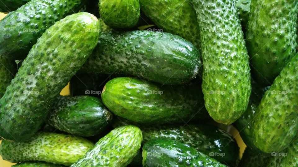 Cucumbers