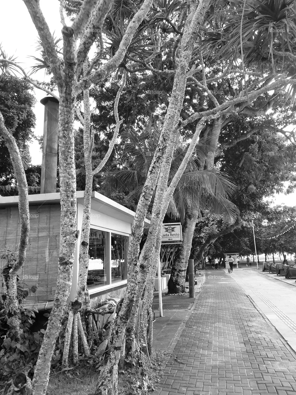 A mini building and its pathway surrounded by trees