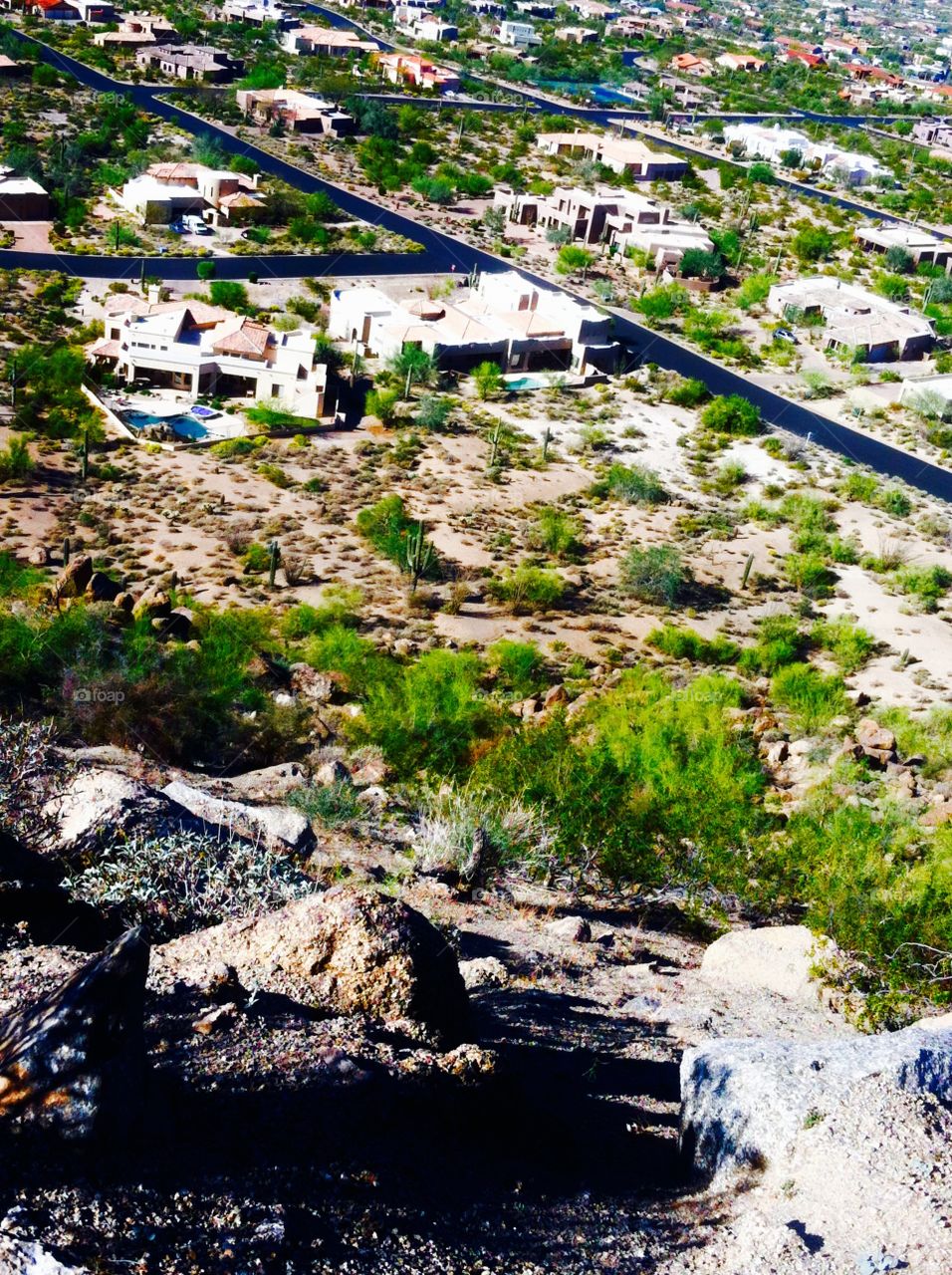 Desert landscape 