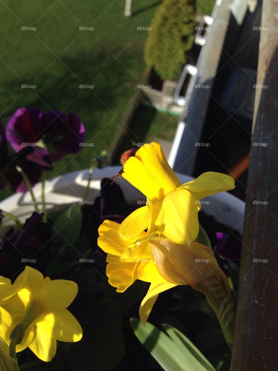 Breakfast on the balcony