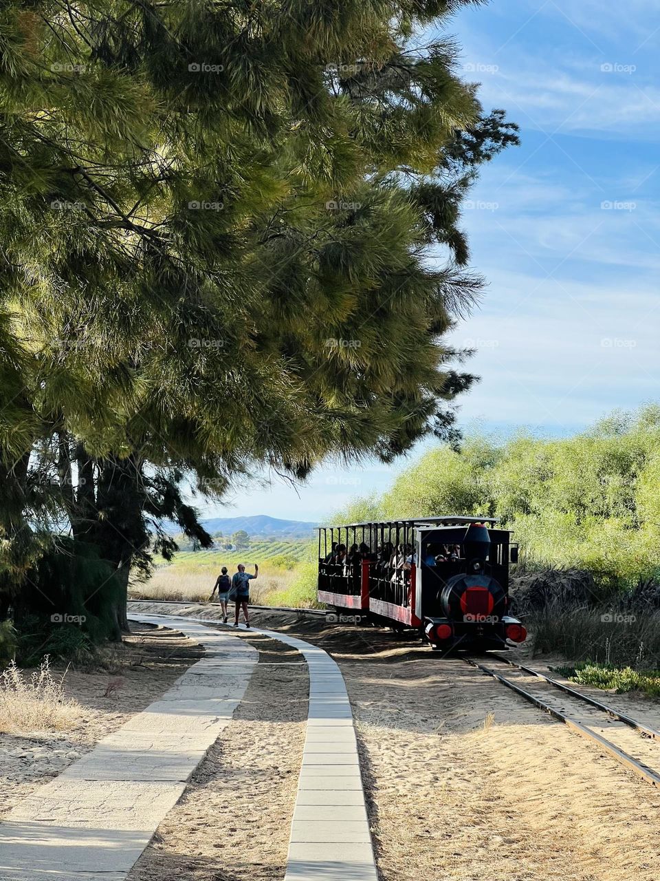 Beach train