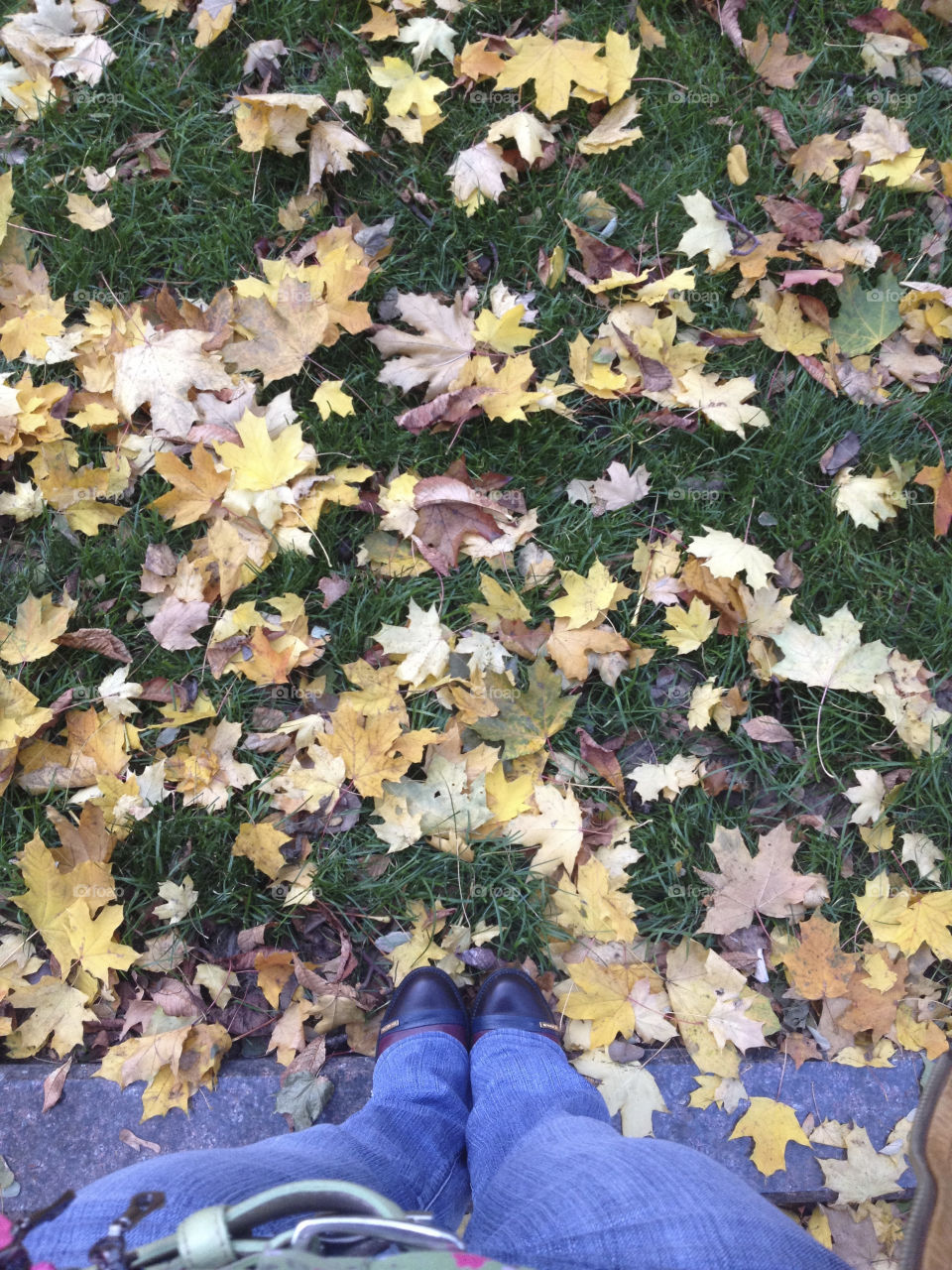 Autumn leaves under my feet