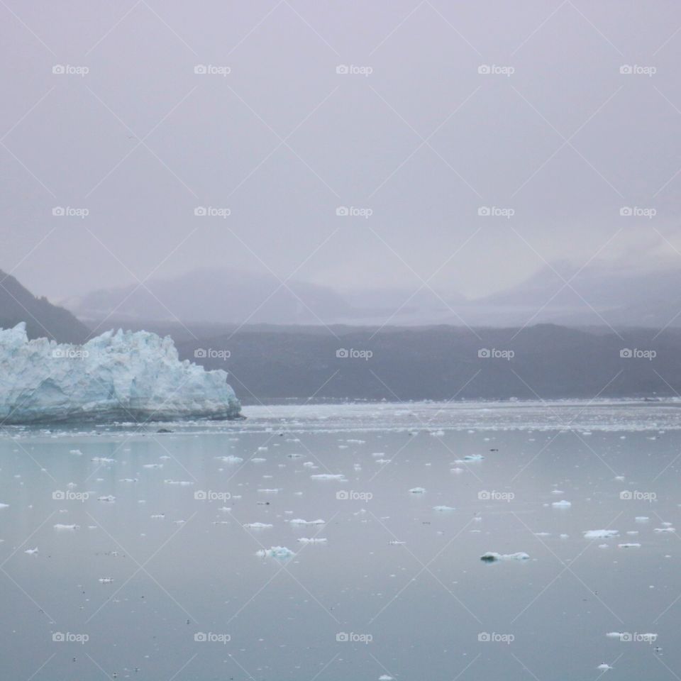 Glaciers in Alaska 012