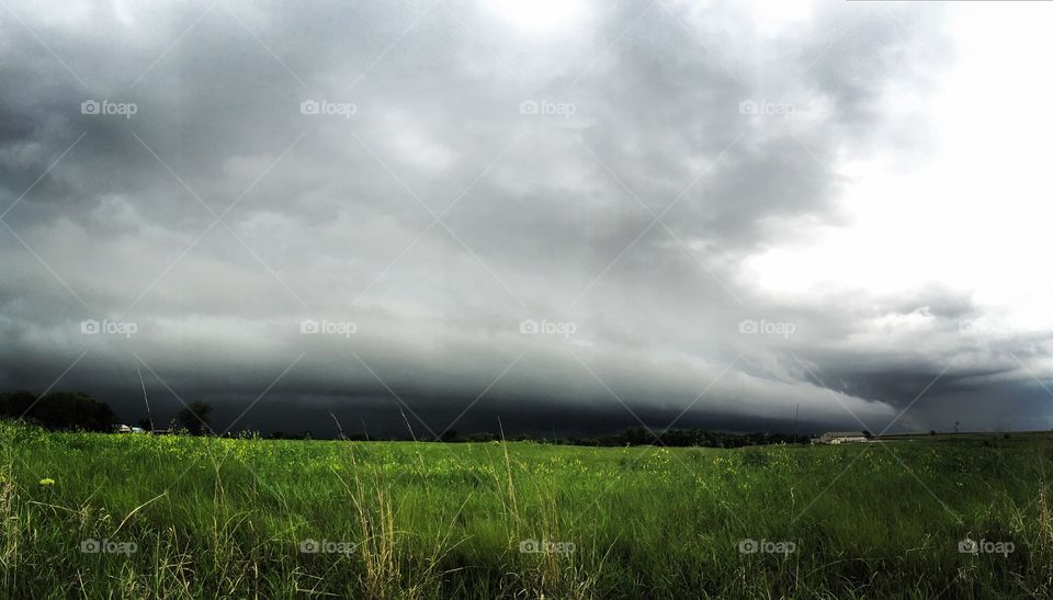 Overcast skies over field