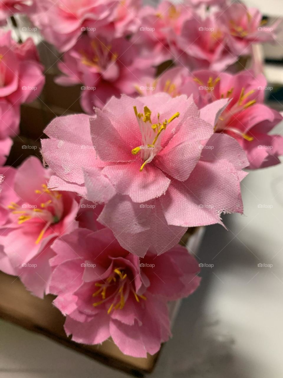 Flores de cerezo como un sueño 