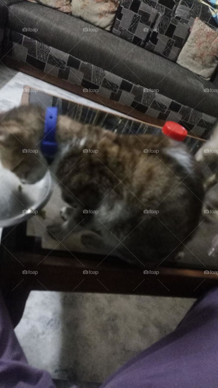 dining  table for me