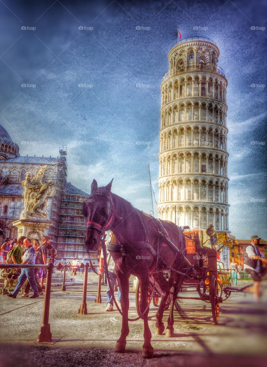 Horse carriage at Pisa Tower. Horse carriage waiting for tourists at Pisa leaning tower, Pisa, Italy.