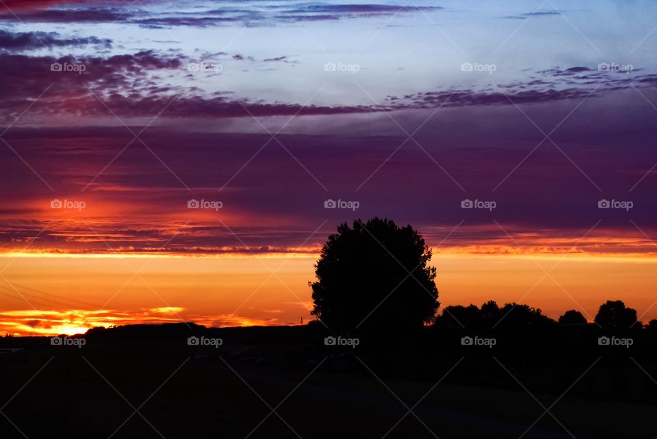 at nature dike in schleswig holstein germany Beautiful Sunset sky 