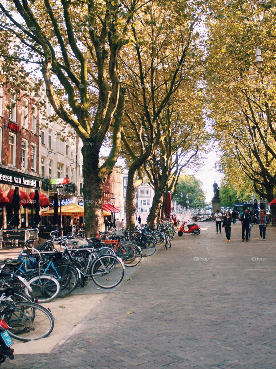 Road, Street, City, Wheel, Bike