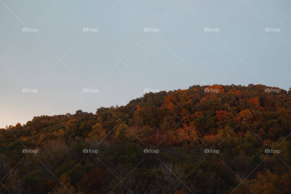 Fall foliage on the hill