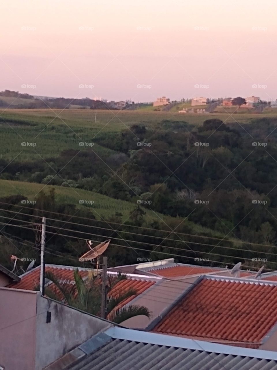 Clic do entardecer perto da mata