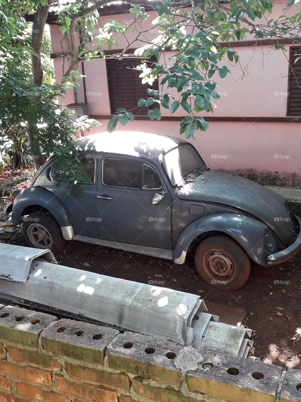 Old beetle! Relic!!!!