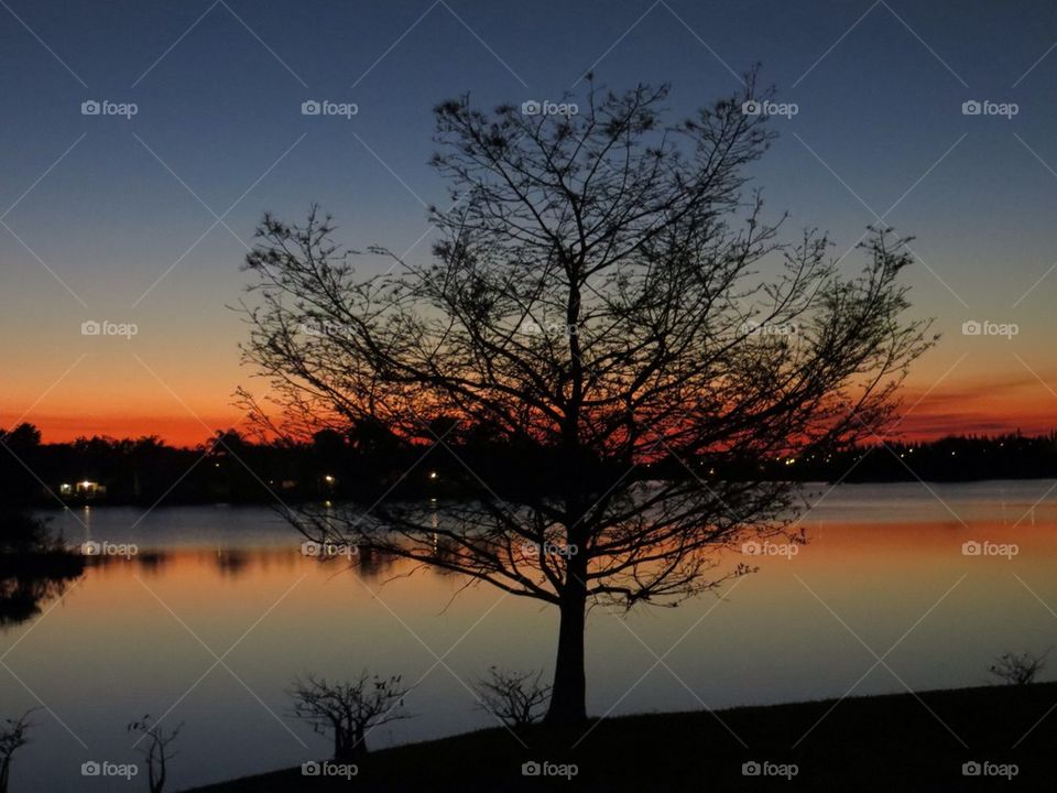 Scenic view of a lake during sunset