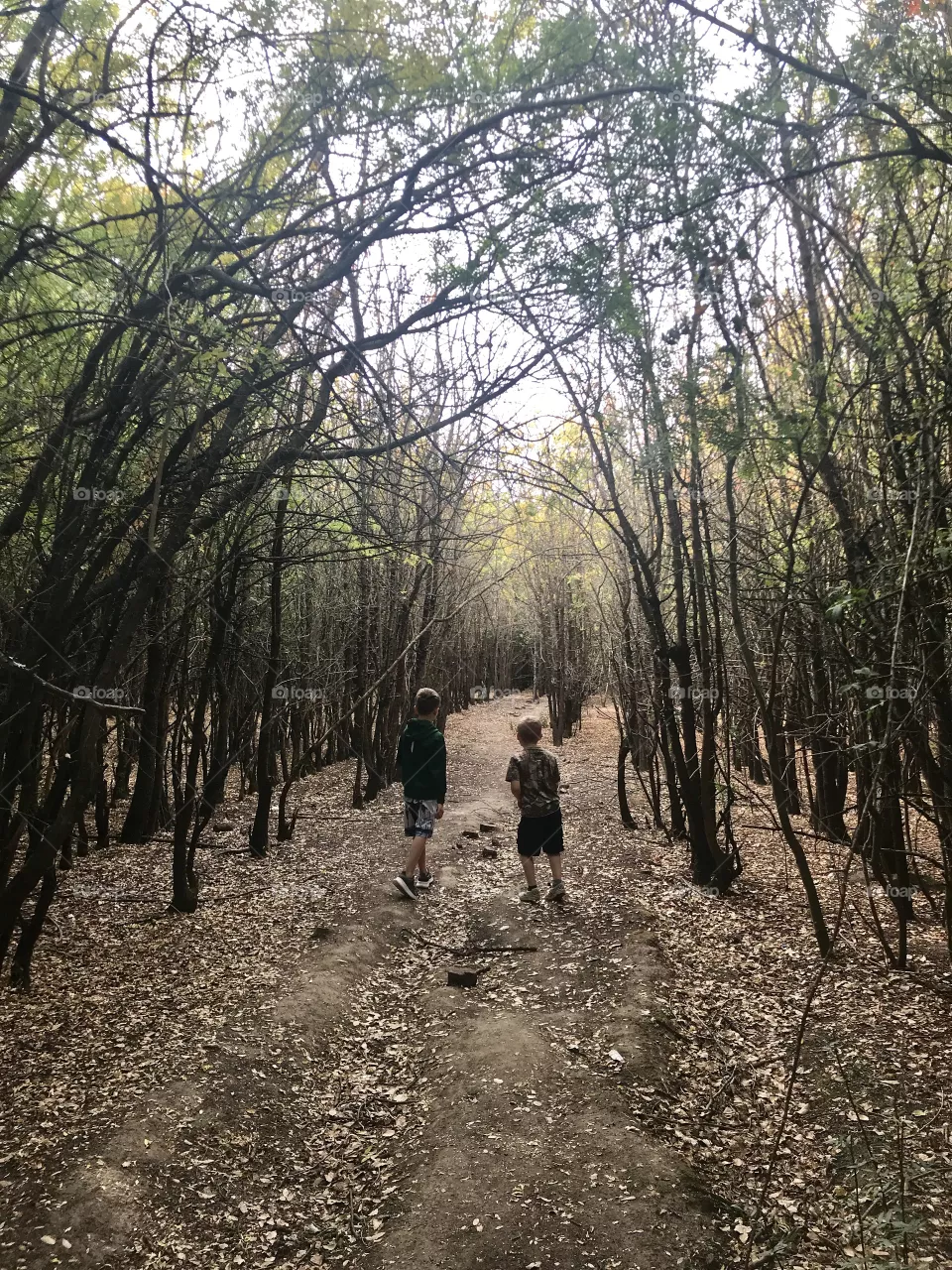 Two brothers running through the Beautiful forest in Northern California in the USA, America