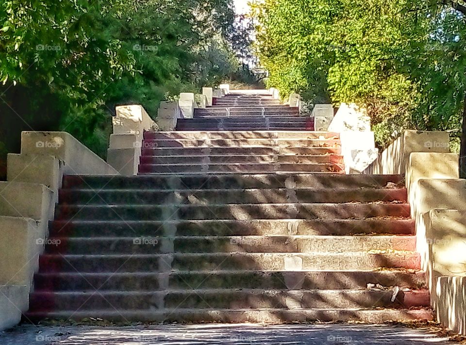 ladder leading to the sea