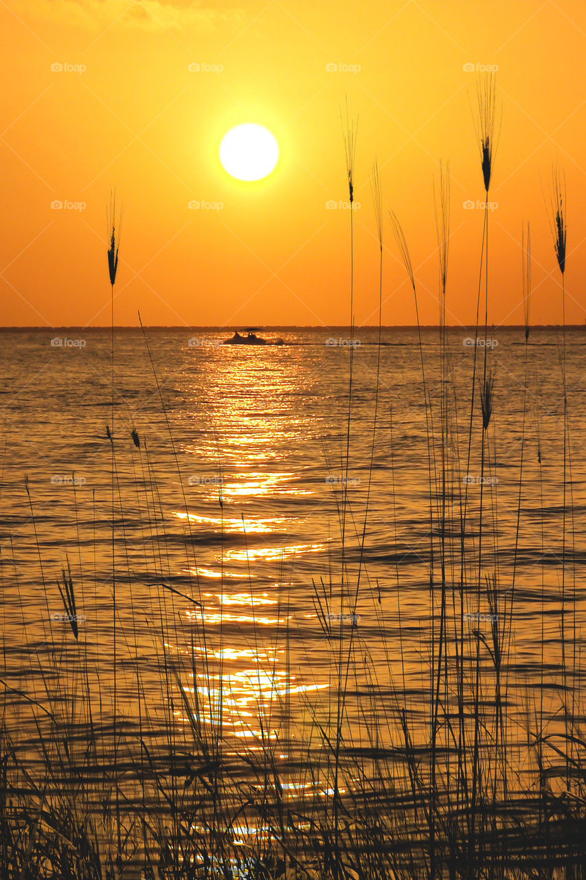 YUCATAN SUNSET