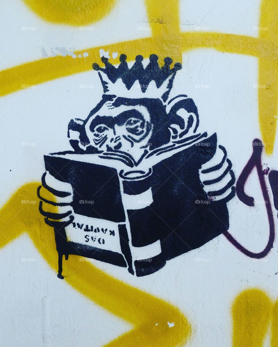 graffiti with reading monkey in Brazil